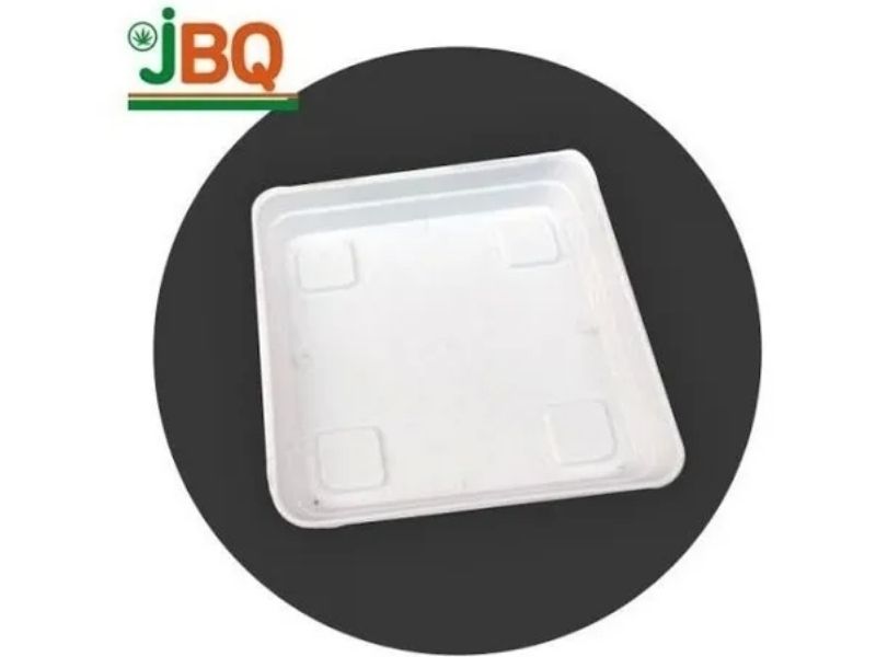 Plato plastico JBQ 15X15